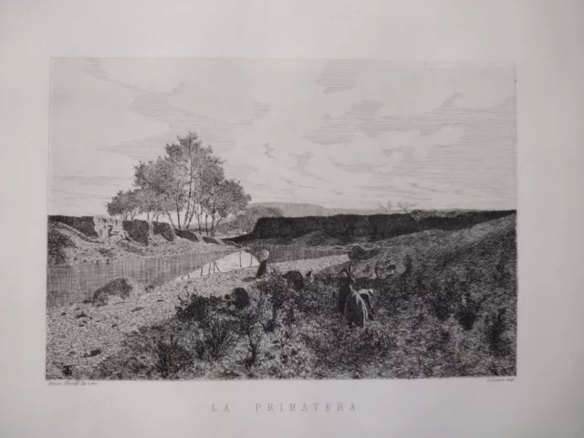 Enrico Ghisolfi La primavera Cuneo Piemonte Alba acquaforte originale 1870