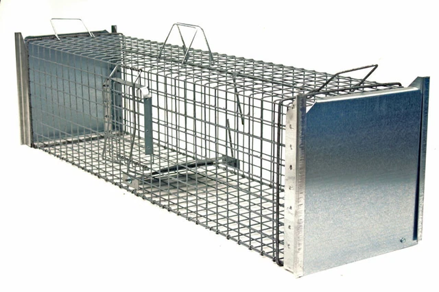 FOX TRAP RACCOON trap box trap marten trap nutri trap animal trap £60.