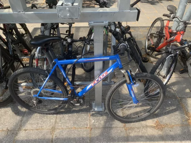 Flite active bike deals