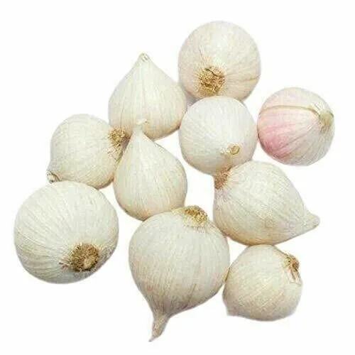 Desi Single Clove Garlic Ek Pothi Lahsun Garlic Bulb (Not Hybrid) Garlic 250 Gm
