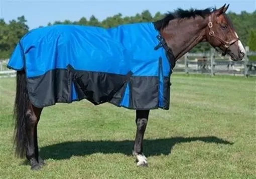 Horse Turnout Sheet - 1680D - Snuggit - Waterproof Poly - 69" to 84" - 3 Colors 3