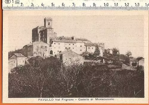 Cartolina Emilia Romagna - Pavullo Frignano - MO 3271