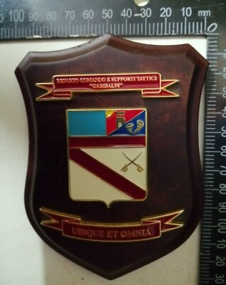 CREST REPARTO COMANDO E SUPPORTO TATTICI GARIBALDI RARITA'!!! 
