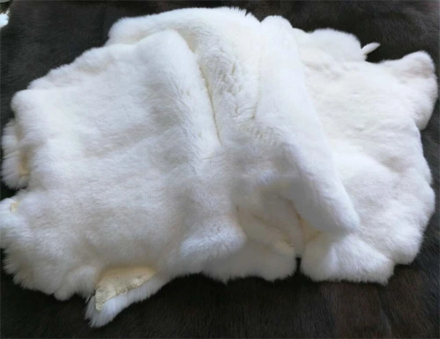 2pcs Natural Rex Rabbit Skin Real Animal Fur Pelt Leather Crafts Material White 2pcs Natural Rex Rabbit Skin Real Animal Fur Pelt Leather Crafts Material White