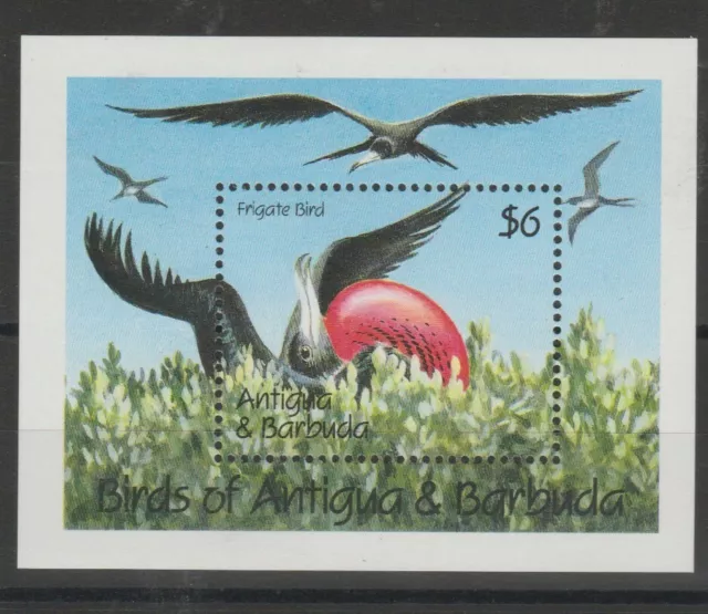 Antigua und Barbuda 1992 Fauna Vögel 1 Bf MNH Foto MF73942