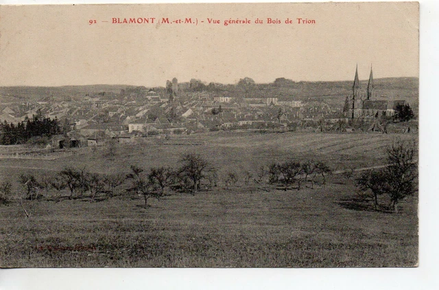 BLAMONT - Meurthe et Moselle - CPA 54 - vue du bois de Trion