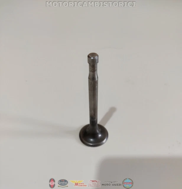 R4231/RCR FRECCIA Valvola di scarico 29,2 mm, Stelo valvola cromato R4231/RCR FRECCIA Valvola di scarico 29,2 mm, Stelo valvola cromato