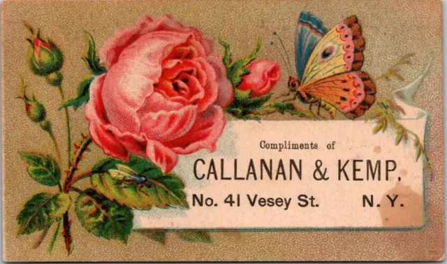 Callanan Kemp NYC English Breakfast Coffee Butterfly Flower New York IPV1