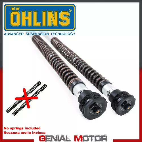 Ohlins Cartridge Gabel Kit NIX 30 STREET fur KTM Rc 390 2018 > 2019 FKS 507