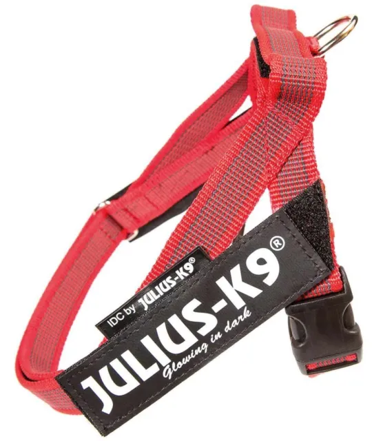 Pettorina Julius K9 per cani IDC Color & Gray Belt Harness Taglia 0 Julius-K9