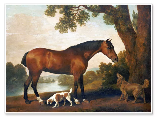 Poster Pferd und zwei Hunde - George Stubbs