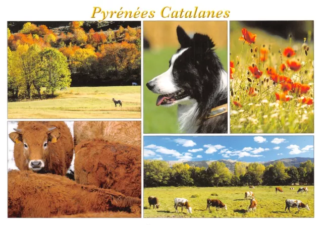 66-Pyrenees Catalanes-N�4004-C/0387