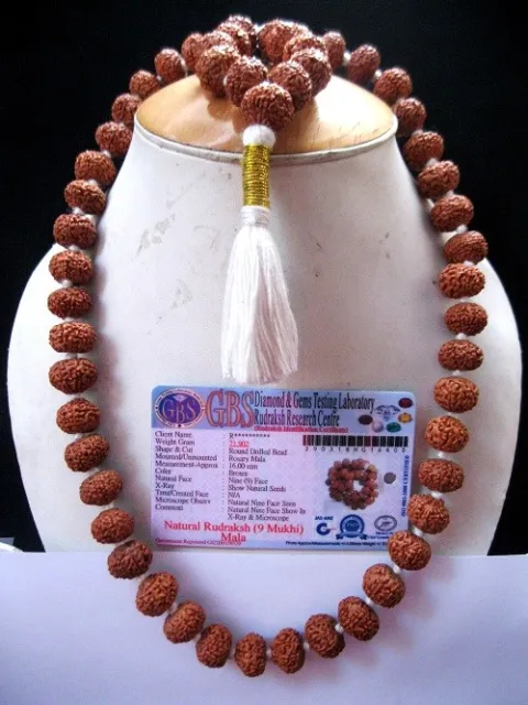 Certifié 9 Mukhi Rudraksha Rudraksh 54 Perles / Durga Shakti Kantha Mala ~16MM