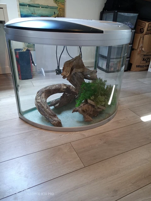 fish tank