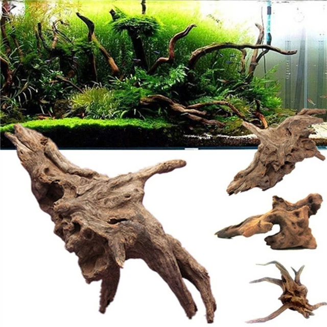 naturel Poisson ponton Bois flotté Tronc d'arbre Décoration de l'aquarium