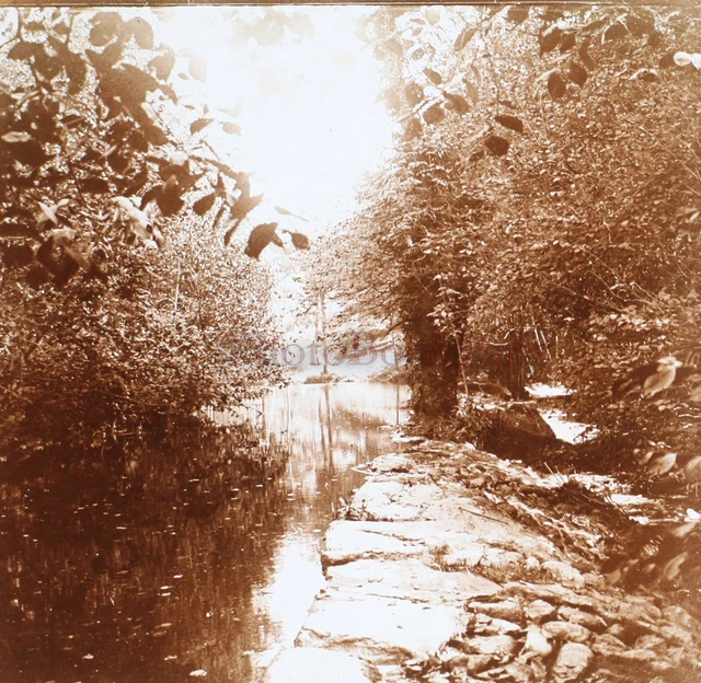 FRANCE Étang Paysage c1920 Photo Stereo Plaque verre Vintage V25L8n