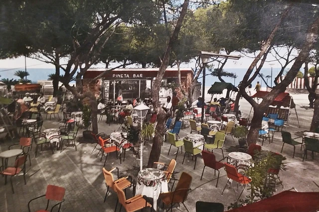 Cartolina - Loano ( Savona ) - Riviera delle Palme - La Pineta - 1964