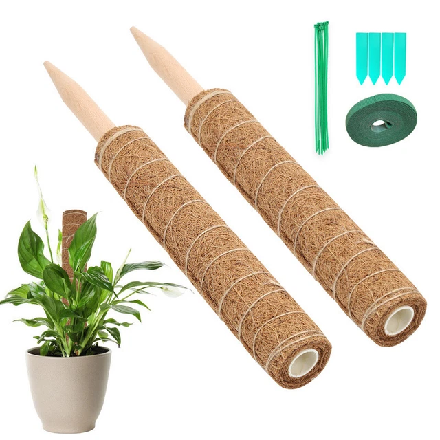 Pflanzstab Kokos Rankhilfe Rankstab verlängerbar Ø 4.8cm 2 Stück 2er Set