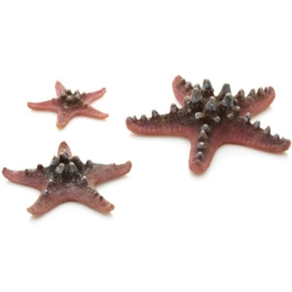 Oase Biorb Pink Sea Star Set Fish Decoration Life 30 45 60 Baby Flow Biube