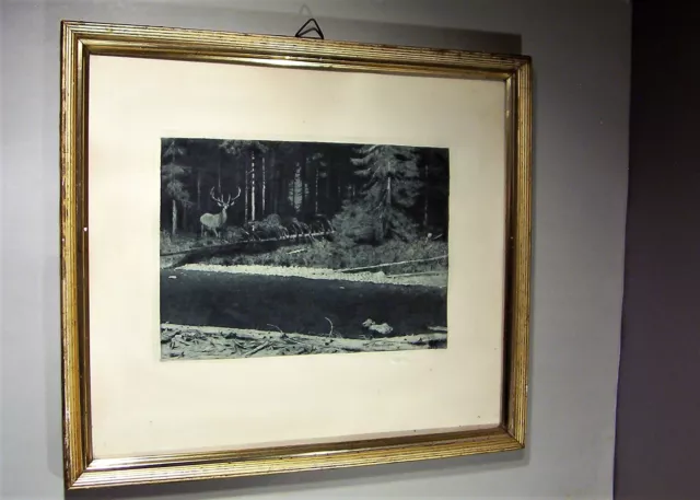 Otto Fikentscher orig handsigniert frühe Radierung, Hirsch am Waldrand im Winter