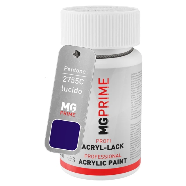 Pantone 2755C Violet lucido Stilo di ritocco da 50 ml ad asciugatura rapida