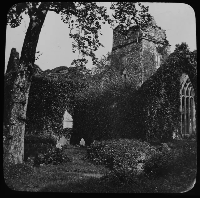 KILLARNEY VIEW IN MUCKROSS ABBEY IRLAND C1890 FOTO Magic Latern Dias