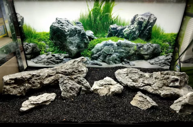 Seiryu Ryuoh Stone Ada Style Aquascaping Iwagumi Aquarium Rock
