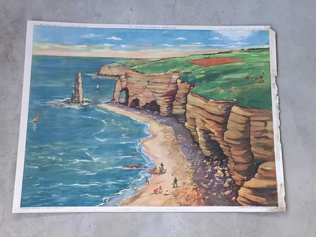 Affiche Scolaire Rossignol Des Années 60 – La Côte Rocher (36) – État D'usage