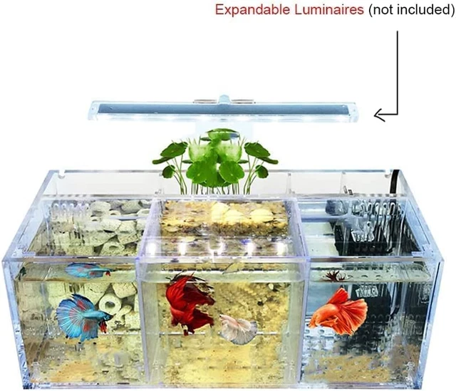 Small Betta Fish Tank, Gallon Aquarium mini water Tank, Fish Bowl, cube tank 3