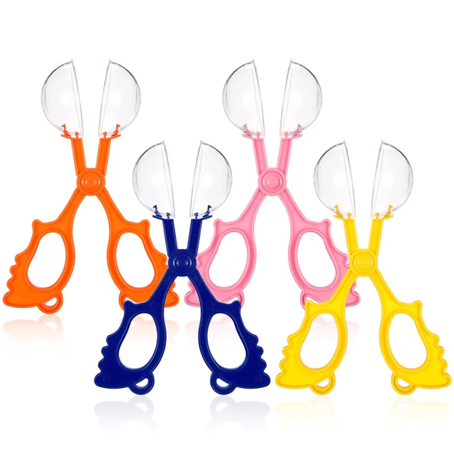 12 Pcs Cuillères À Ciseaux Pratiques Pour Les Enfants Insecte