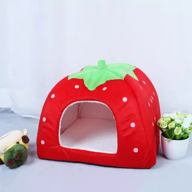 Fresa Linda Para Gato Animal Doméstico Cama Perrito Casa Plegable Para Mascota