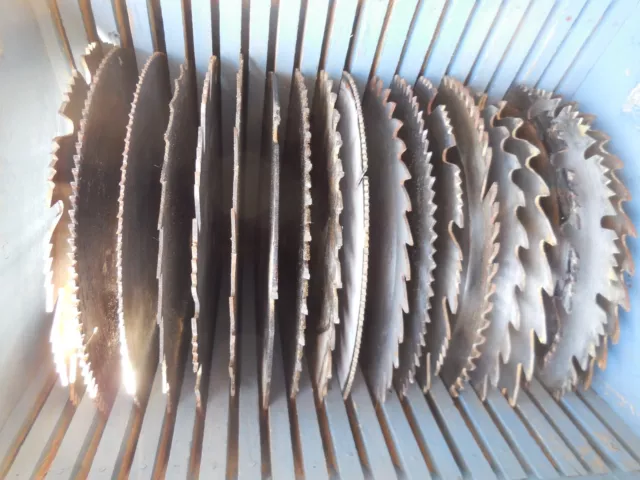 19 - 10 inch Table saw blades  and box for woodworking