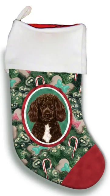 Christmas Stocking - Chocolate and White Portuguese Water Dog 11914