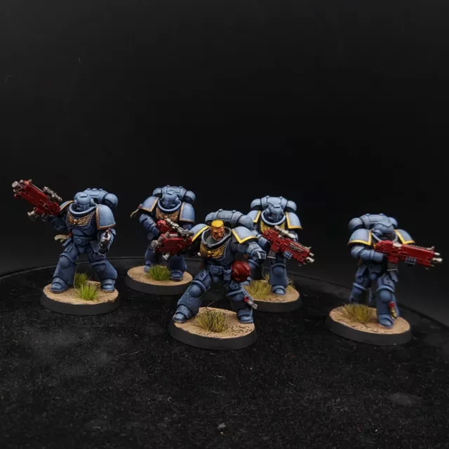 Bien Pintado Warhammer 40k Ultramarines Primaris Intercessors × 5 Lote A3 gw