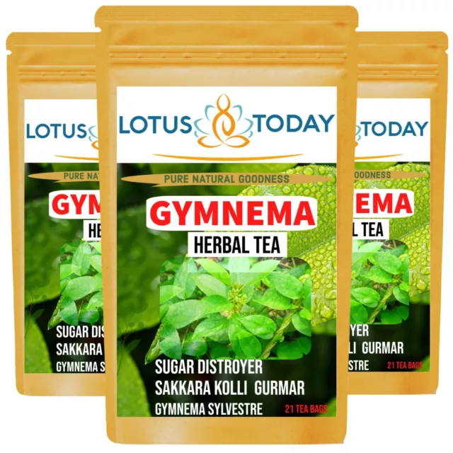 Detox Gurmar leaf Tea (Pack of 3 ) Gymnema Herbal Tea 60 Tea bags