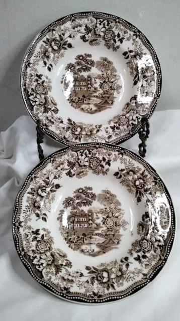 Juego de 2 tazones vintage Clarice Cliff Tonquin marrón Royal Staffordshire