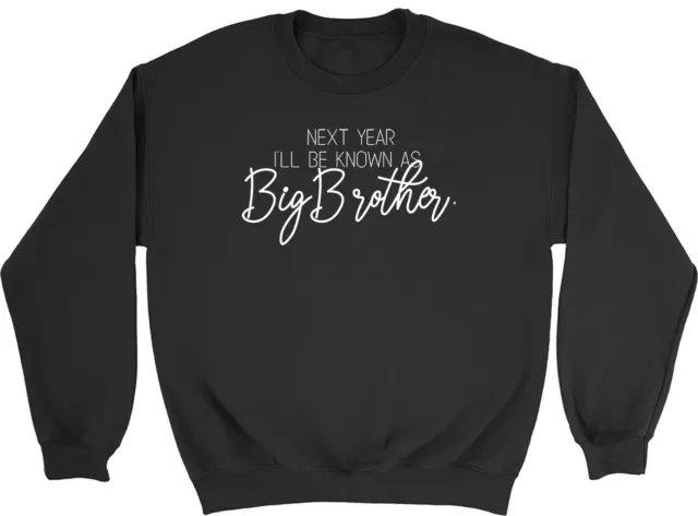 Next Year I'll be Known as Big Brother Kinder Pullover Sweatshirt Junge Mädchen