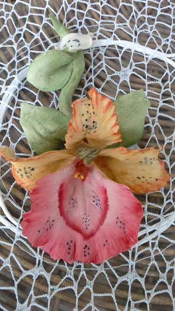 Splendida orchidea bicolore in porcellana di capodimonte 17x10,5x5,5 cm