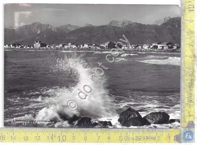 Cartolina - Postcard  - Viareggio - Panorama della spiaggia - 1966