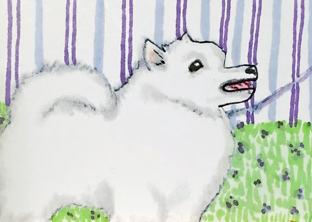 AMERICAN ESKIMO SHOW DOG 4 x 6 Mini art PRINT Signed by Artist KSams