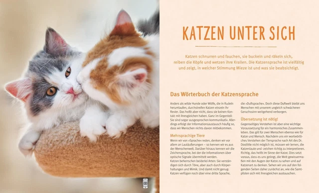 Katzensprache Kätzisch für Zweibeiner Helga Hofmann Taschenbuch 64 S. Deutsch 2