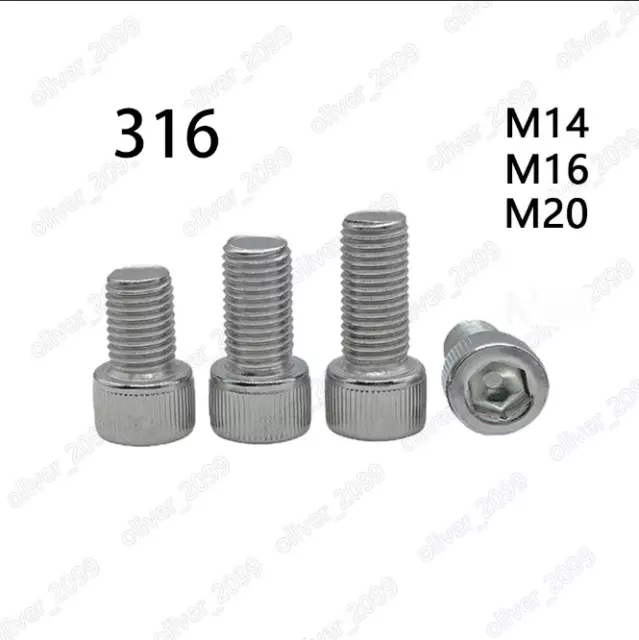 316 Acero Inoxidable DIN912 Zócalo Hexagonal Pernos Tapa Cabeza Tornillos M14 M16 M20