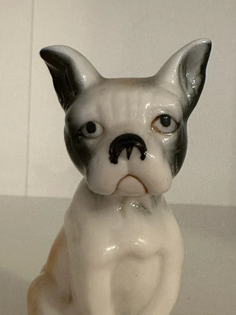 Vintage Boston Terrier / Boxer Dog Figurine Ceramic Dog Puppy Collectible Japan?