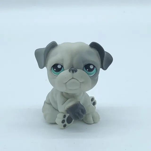 BULLDOG DOG #446 - Authentic Littlest Pet Shop - Hasbro LPS