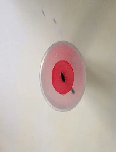 Botones agujereados de mármol rosa cereza 18 mm