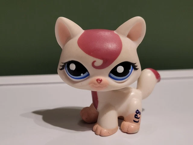 Littlest Pet Shop HASBRO #626 – Chat Maine Coon – Original – Authentique