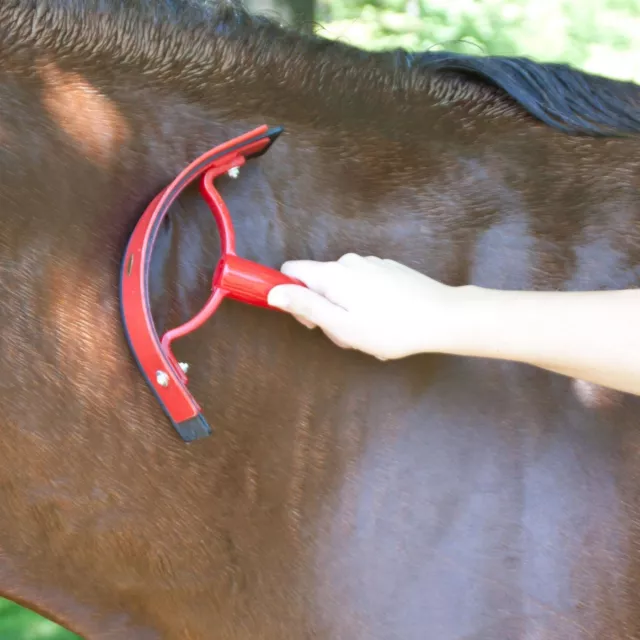 Perry Reiter Kunststoff Schweißschaber Pflege Pferd Pony Haustierpflege Farben D23 2