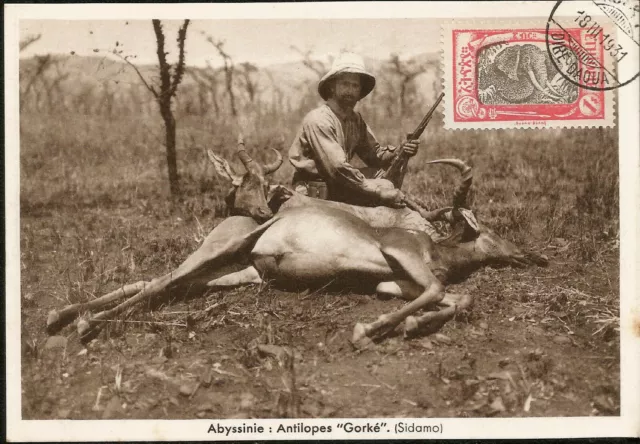 1931 Ethiopia Abyssinia Antiloppe Hunting Old Maximum Card with Elephant Stamp