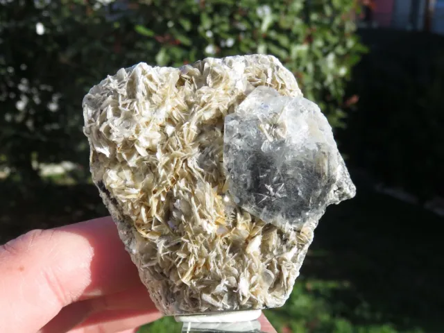 Minéraux Gros Cristal De Aigue-Marine / Goshenite Chine 3