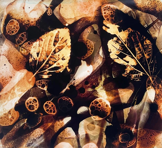 Tonito Original One of a Kind art painting.Organic realism.VEGETATION.Abstract